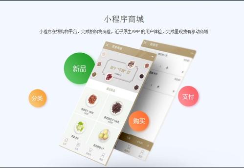 微信商城小程序上線后，如何運(yùn)用技術(shù)手段高效推廣產(chǎn)品